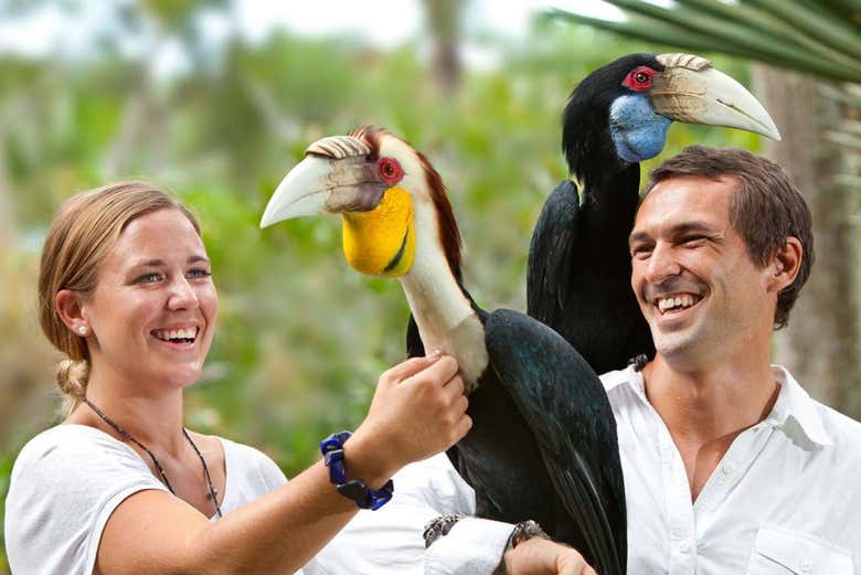 Enjoy a day at Bali Bird Park